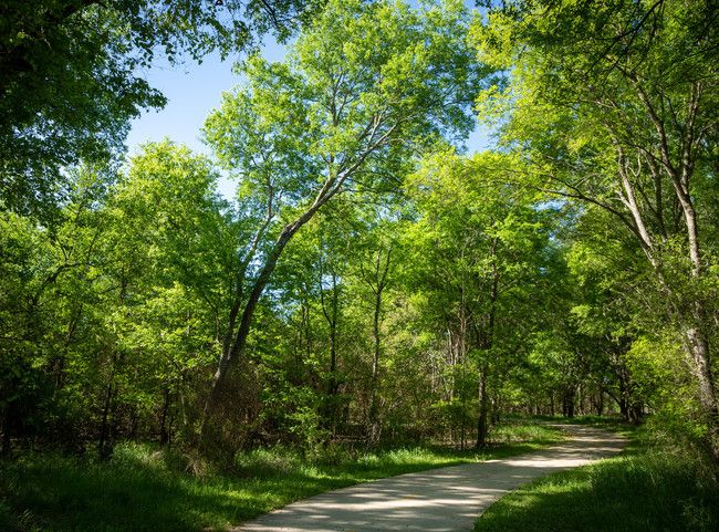 TxDOT threatens an urban trail with a highway